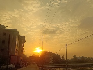 1000066272
