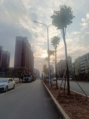 1000066268