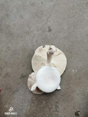 900