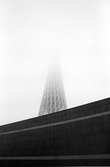 Untitled-2011.jpg