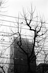 Untitled-5121.jpg