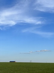 1000004666