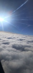 1000022175