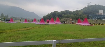 1000024732