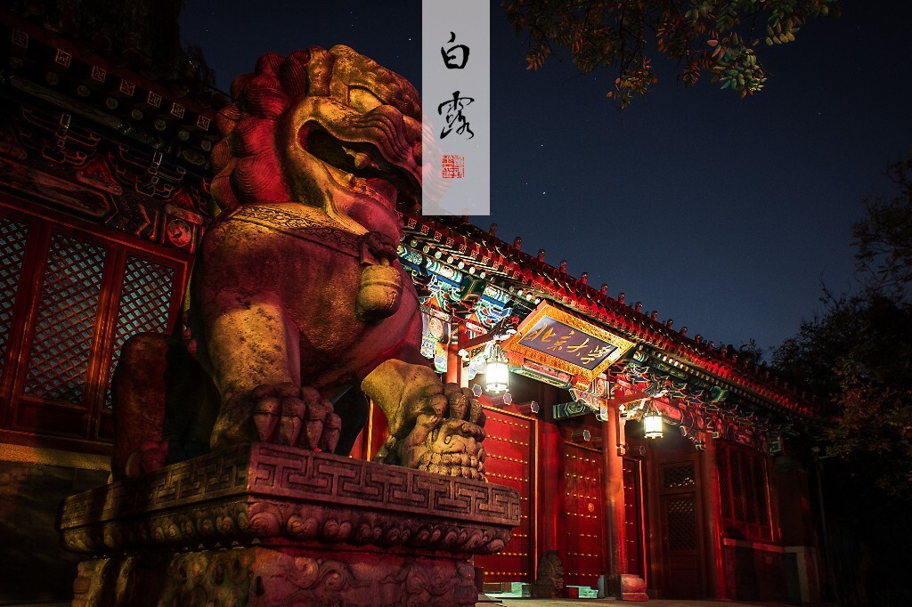 西门静夜