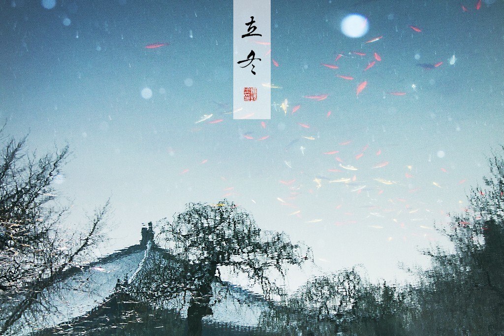 鱼翔浅底