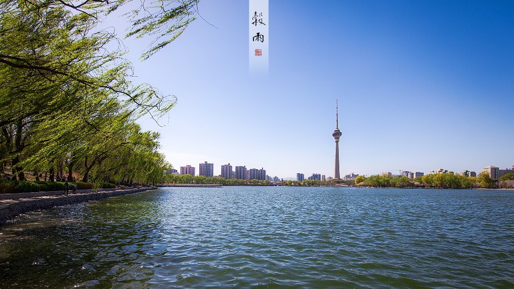 谷雨,玉渊潭。<br />
雨后清润,春风抚柳堤。