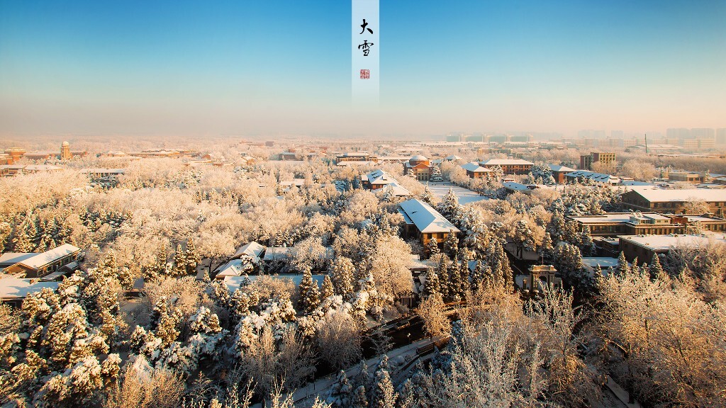 大雪,清华园。<br />
大雪一夜,红妆素裹。