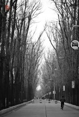 IMG_6281.jpg