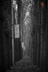 IMG_6320.jpg