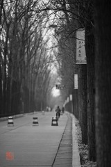 IMG_6322.jpg