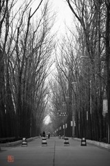 IMG_6330.jpg