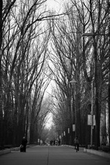 IMG_6344.jpg
