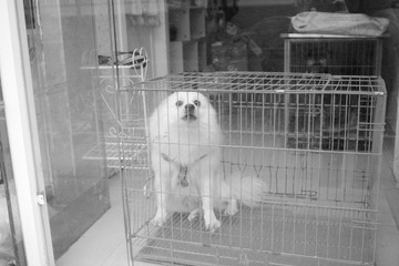 SDIM0116.JPG