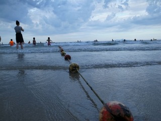 R0011351.jpg