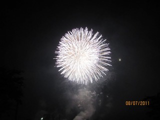 1000001295