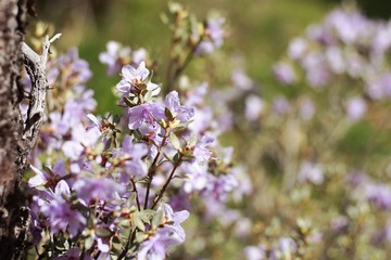 _MG_0318.JPG