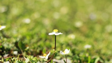 _MG_0930.JPG