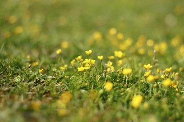 _MG_0893_副本.jpg