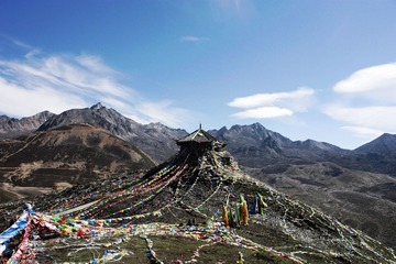_MG_1007.JPG