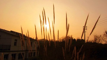 IMG_84961.jpg