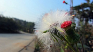 IMG_84881.jpg