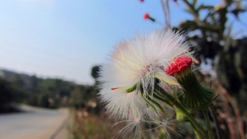 IMG_84891.jpg