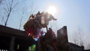 IMG_8614.jpg