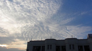 IMG_5620.jpg