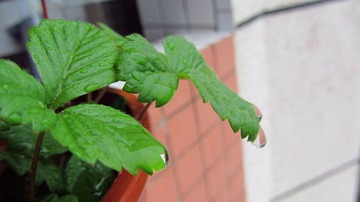 IMG_6057.jpg