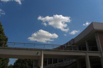 IMG_7291.jpg