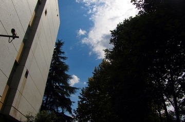 IMG_7299.jpg