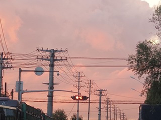 1000024103
