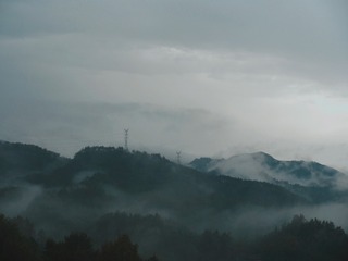 1000034145