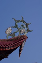 梅花-1149.jpg