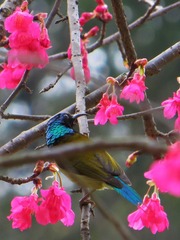 傻鸟-1003.jpg