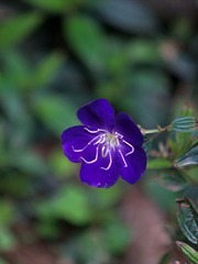 杂拍-0107.jpg