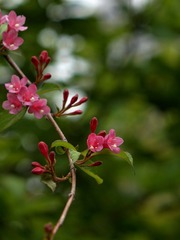 杂拍-0102.jpg