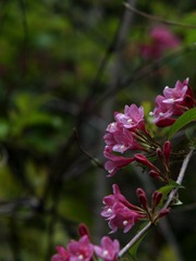 杂拍-0104.jpg