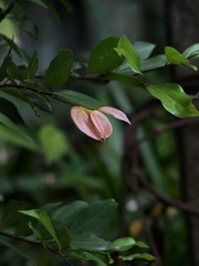 杂拍-0106.jpg