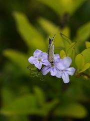 2014-小虫-0201