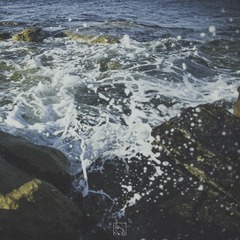 ZXY_4933