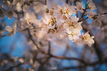 ZXY_3332