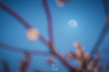 ZXY_3333