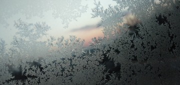 1000010658