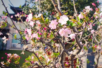 IMGP2676-2