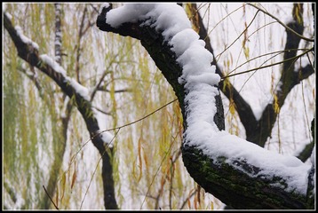IMGP0187.jpg