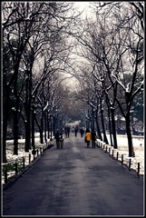 IMGP0727.jpg