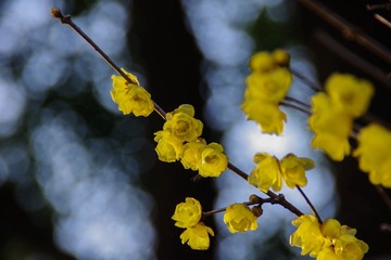 IMGP2462.jpg