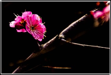 IMGP32271.jpg